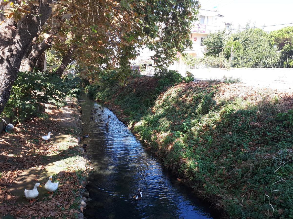 Samos Apart Pension Гюзельчалми Екстер'єр фото
