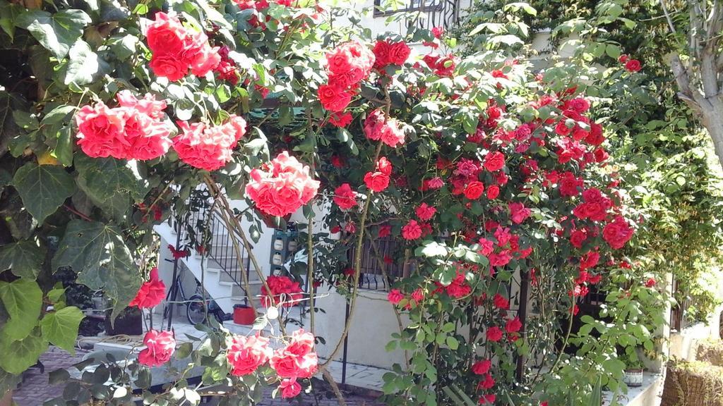 Samos Apart Pension Гюзельчалми Екстер'єр фото