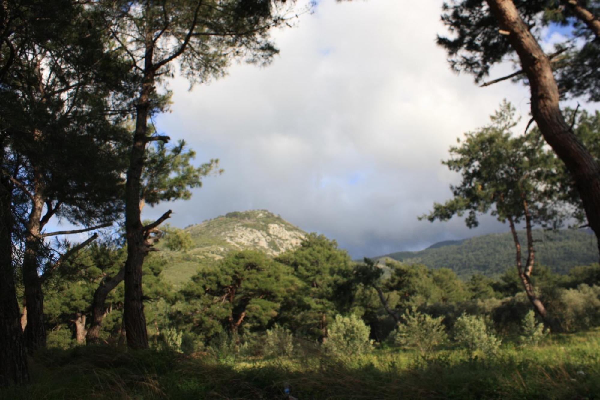 Samos Apart Pension Гюзельчалми Екстер'єр фото