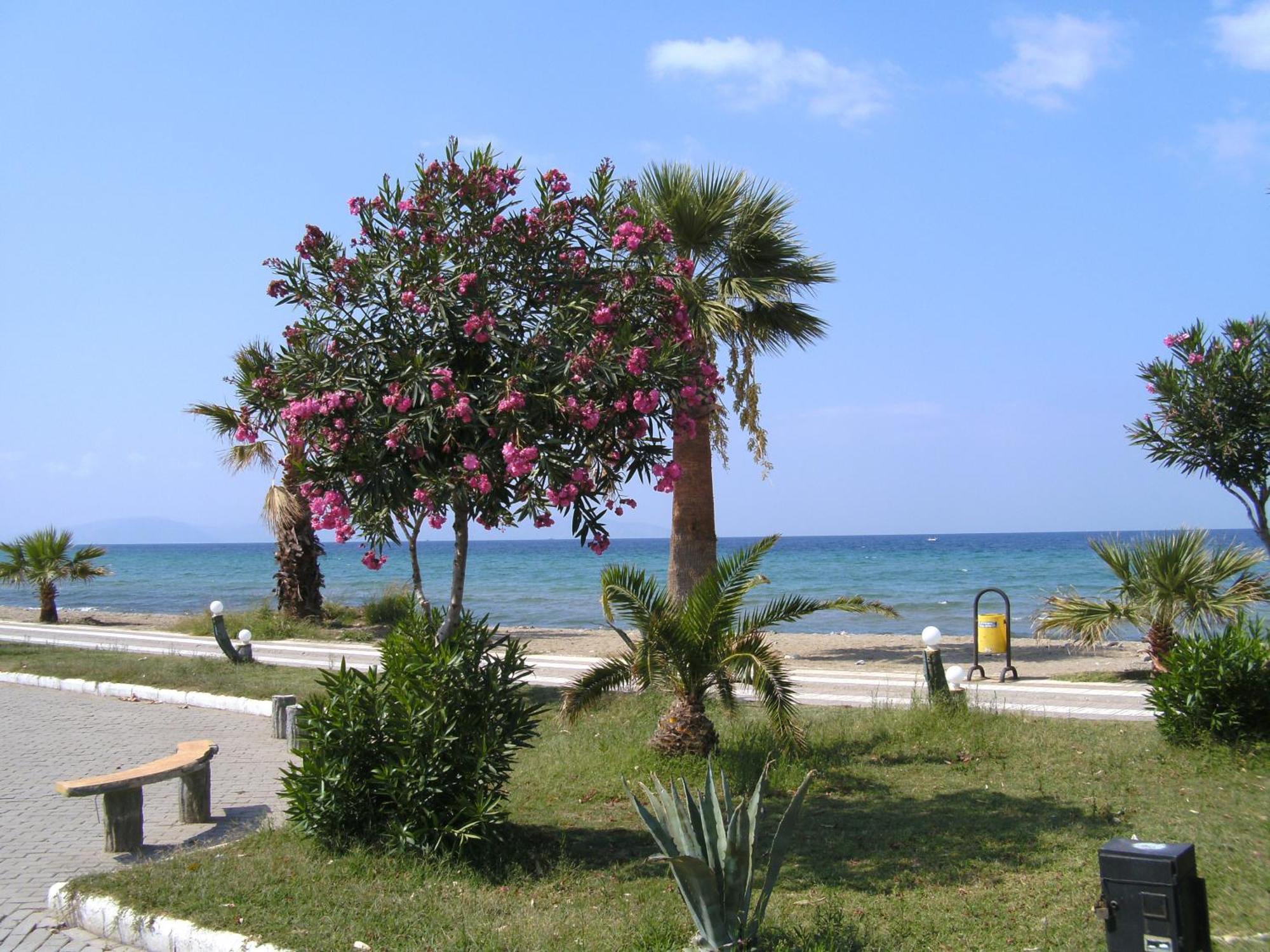 Samos Apart Pension Гюзельчалми Екстер'єр фото