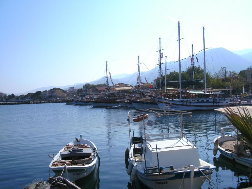Samos Apart Pension Гюзельчалми Номер фото